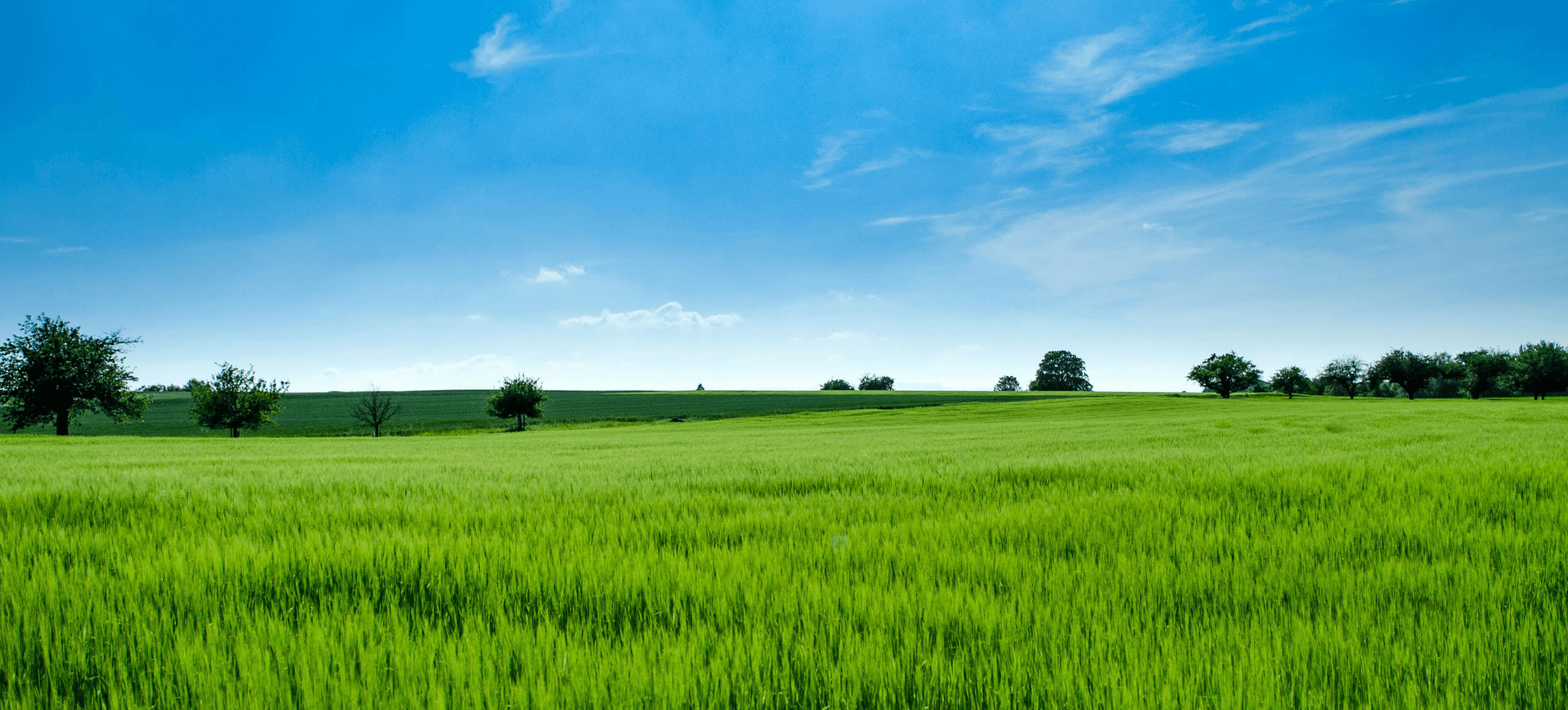 Cambiamento climatico