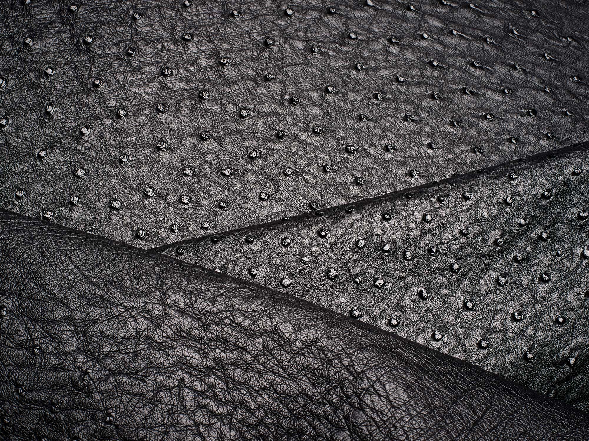 1. 29 Art Struzzo Londra Nero Zuma