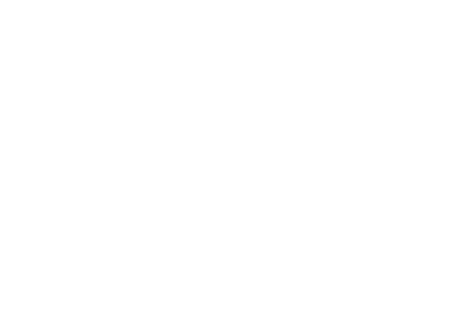 Audasit logo